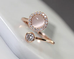 Spinning Fidget Ring in Rose Gold